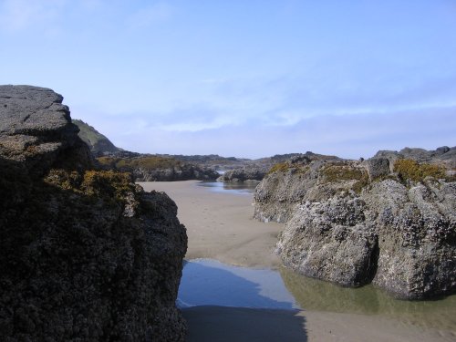 Among the Rocks